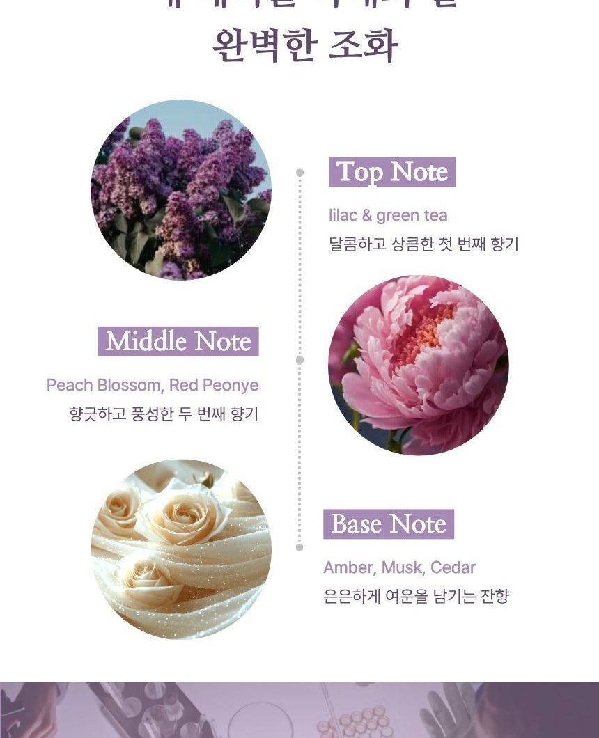 아스파시아 돌체베르 향 노트 - Top lilac green tea, Middle Peach Blossom Red Peony, Base Amber Musk Cedar