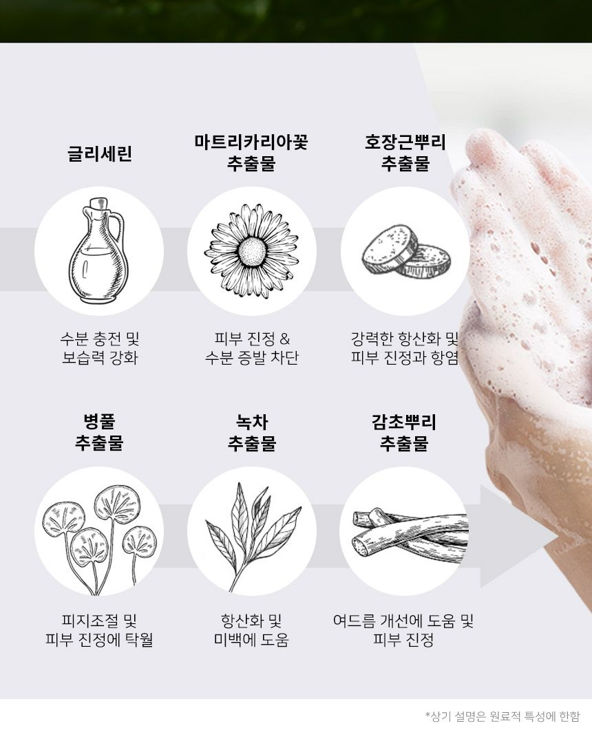 C2Y 퓨어 아쿠아 휩 페이셜 비누 식물성 성분 여섯 가지 설명