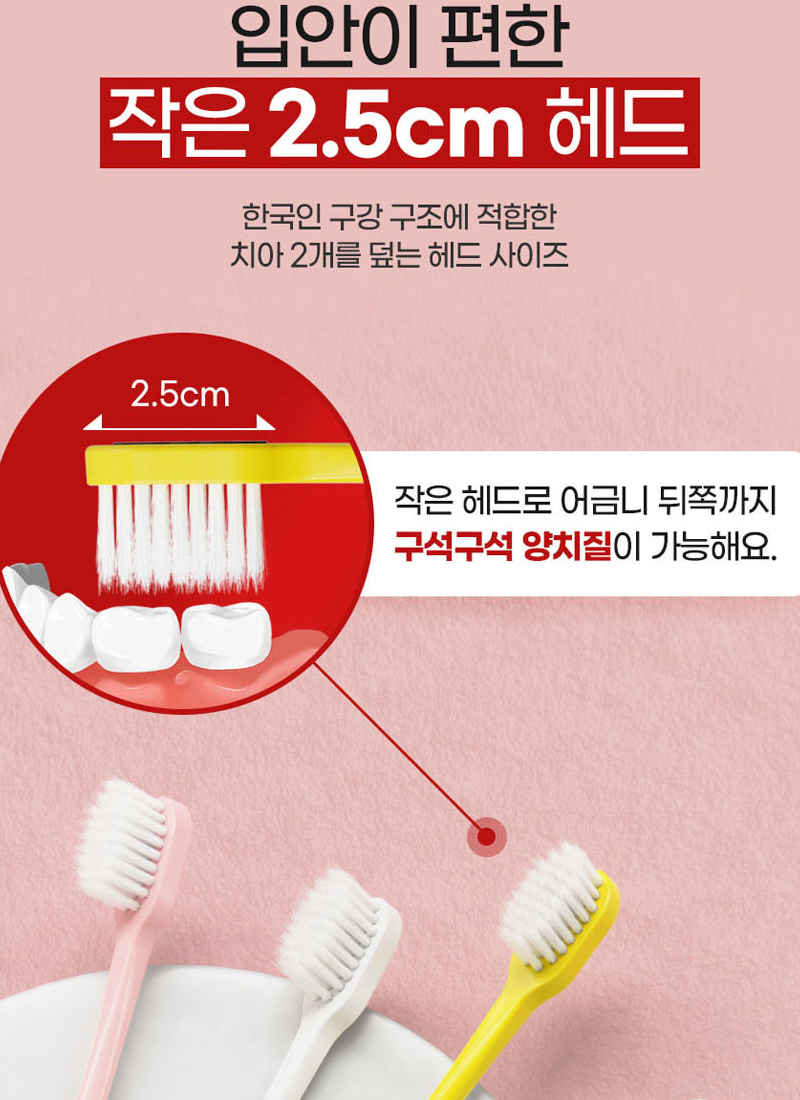 클리오 덴티메이트 헤드 가로 2.5cm, 치아 2개를 덮는 크기