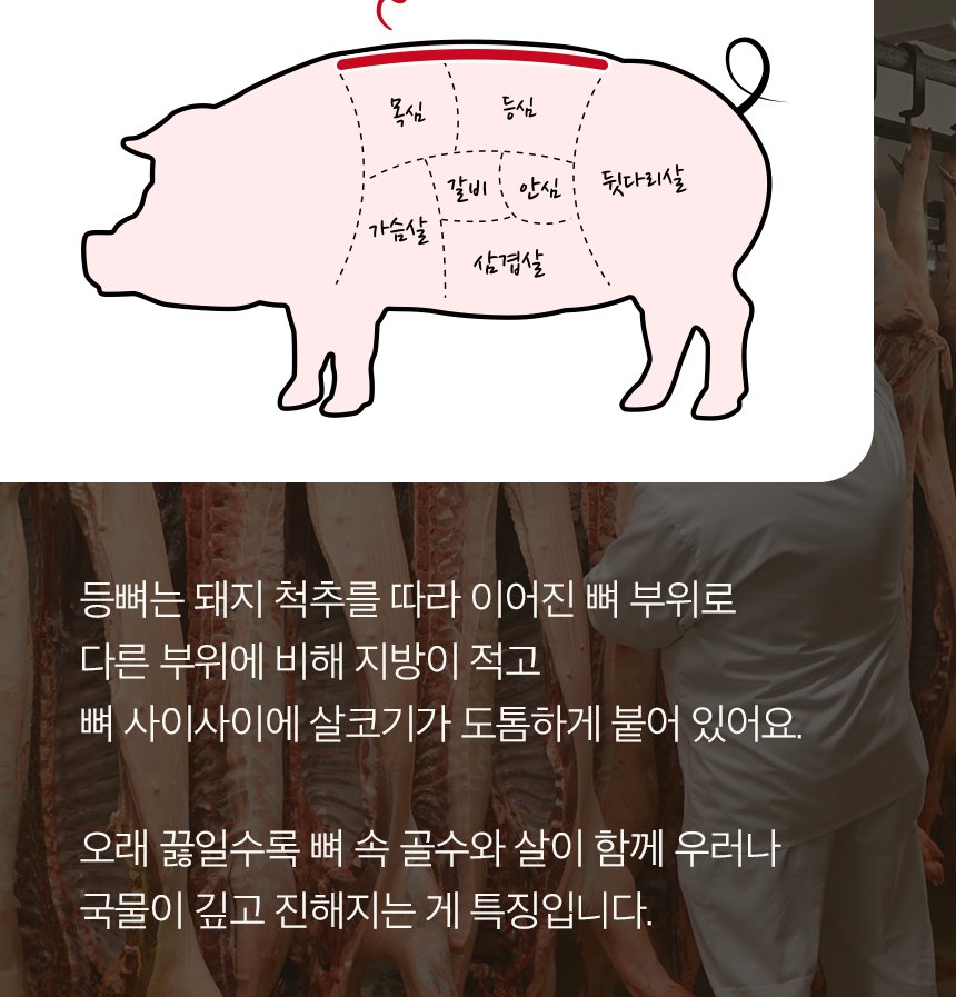 돼지 등뼈 부위 설명 - 척추를 따라 이어진 뼈, 지방이 적고 뼈 사이에 살코기가 도톰하게 붙어 있음, 오래 끓일수록 골수와 살이 우러나 국물이 깊어짐