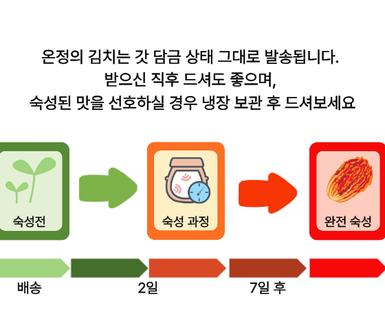 마주 온정 총각김치 숙성 단계 - 배송 시 숙성 전, 2일 후 숙성 과정, 7일 후 완전 숙성
